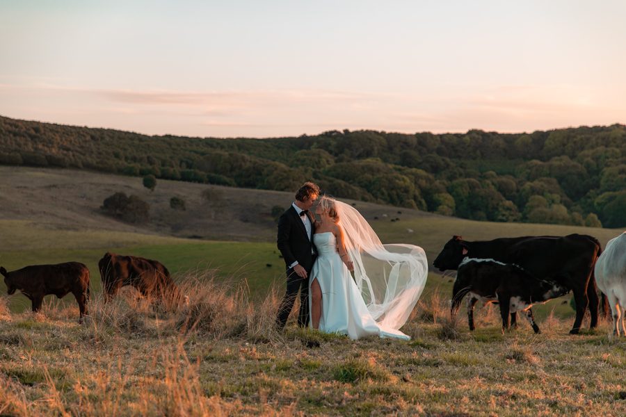 A Timeless Love Story: Renee & Ben’s Elegant Northern Rivers Wedding